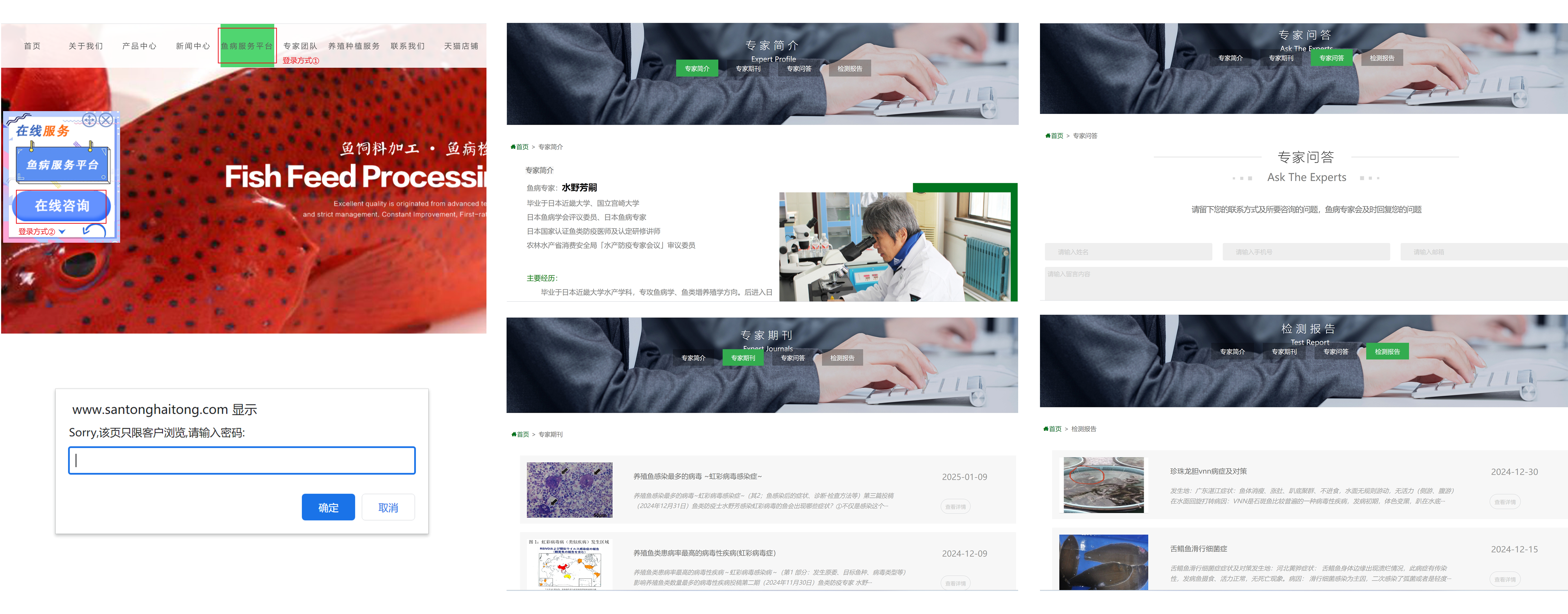 拼合图.png