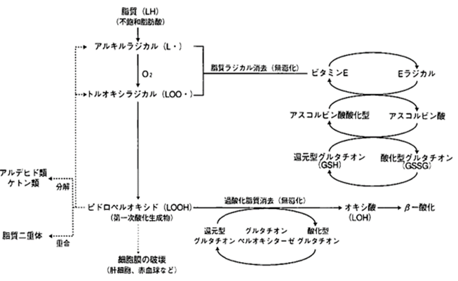 216d7c256867ce534bb8625e93417ee.png