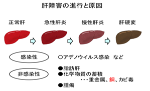 293a8547713fc6e5a661e03c860bd07.png