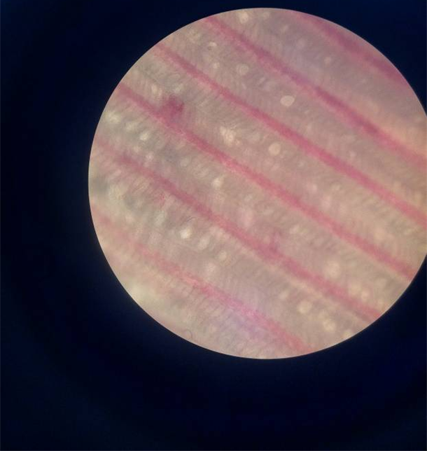 d6b589b214e23c4862d6cc3704b3fd8.png