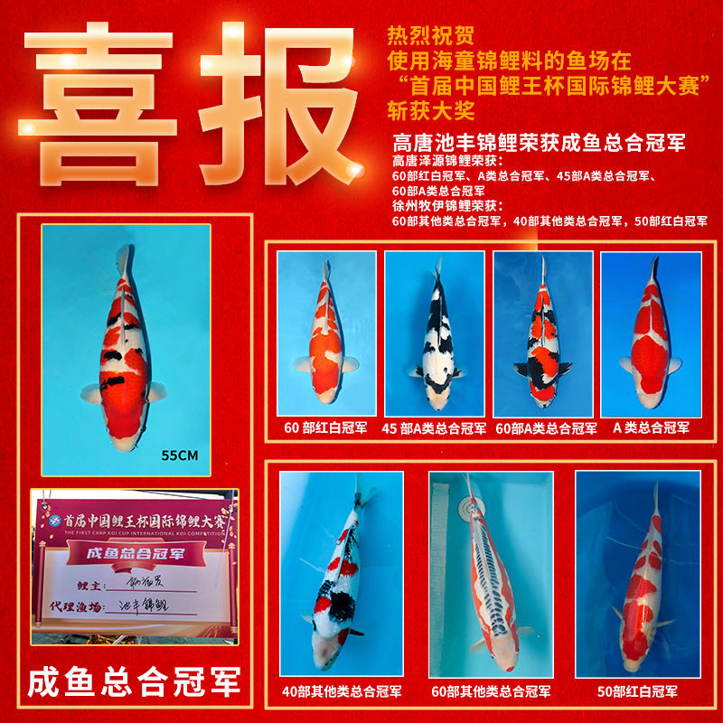 喜报主图.jpg