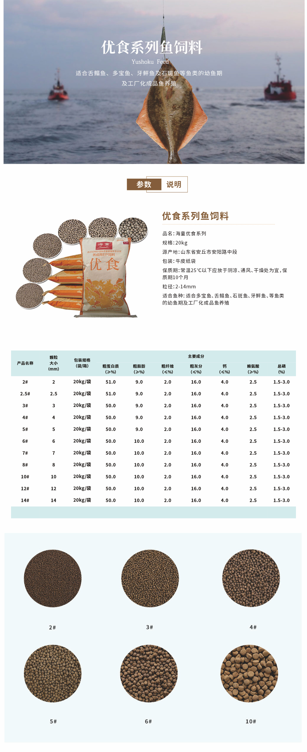 图片 04.png