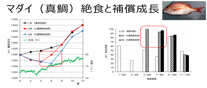 f89fa4def867ef607c4a339ca2ffde69.png