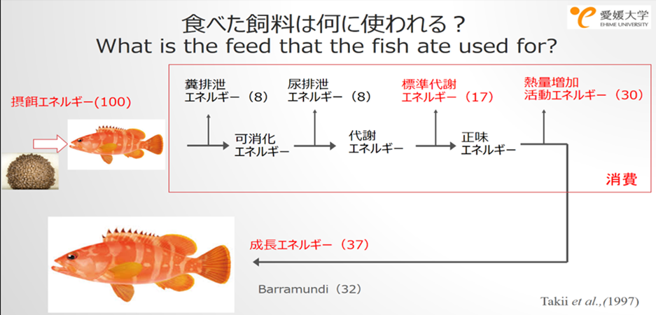 19bd1314406a738f3d1b652e95690ca9.png